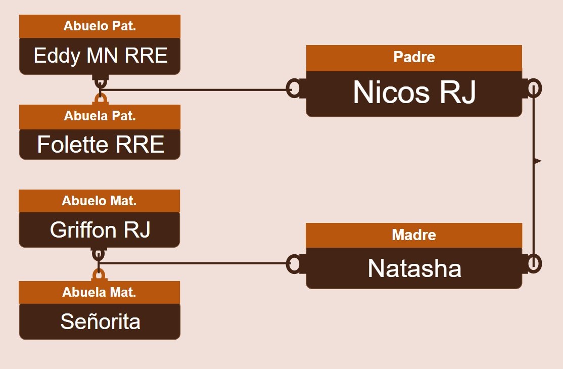genetica