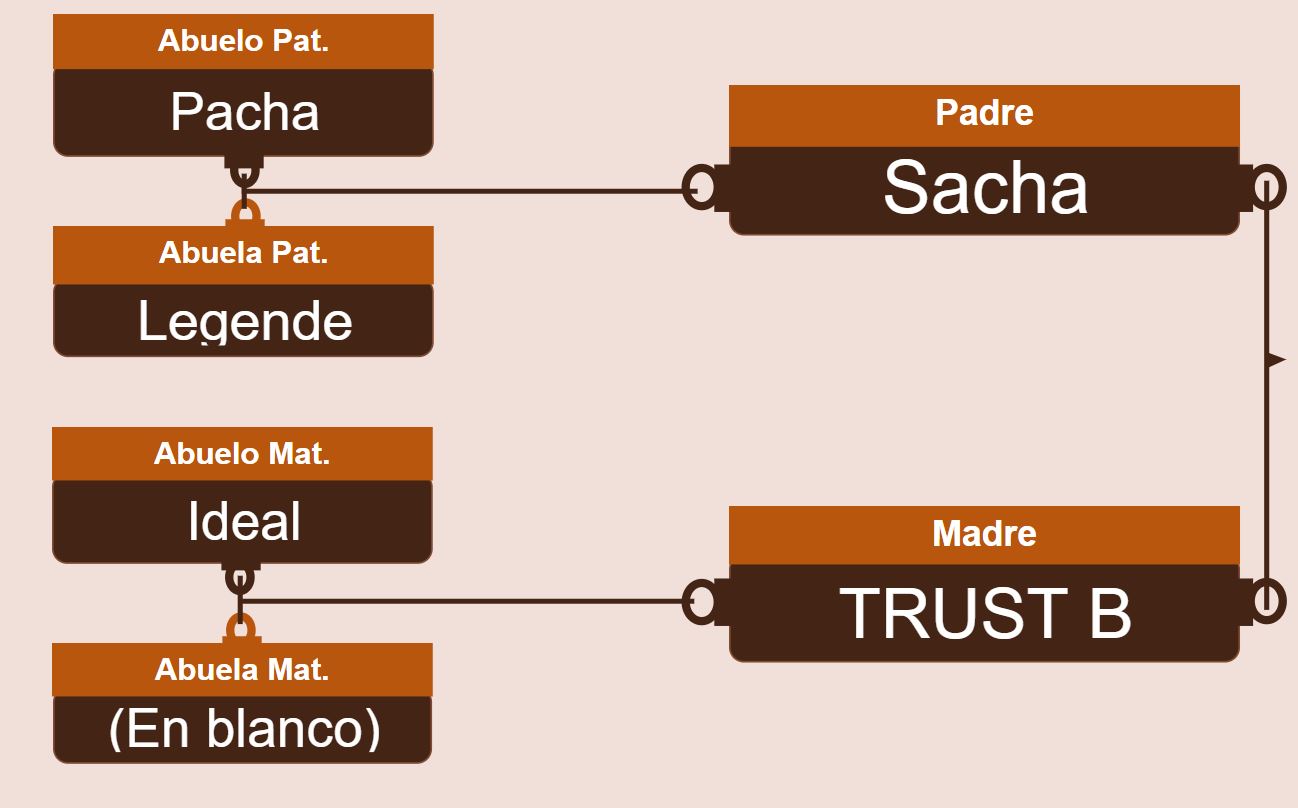 genetica