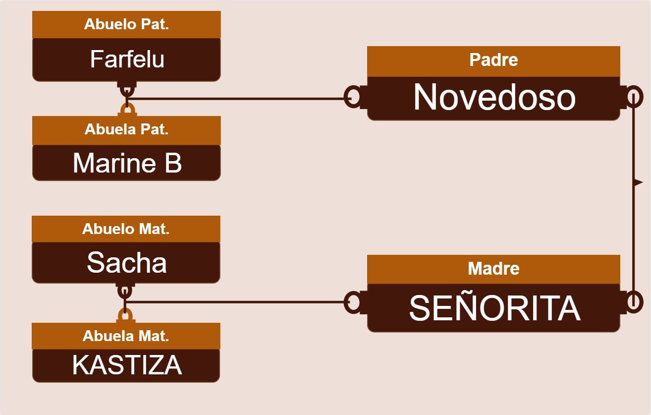 genetica