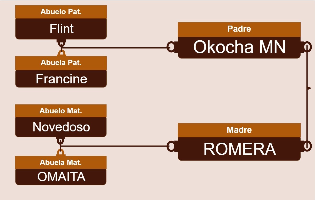genetica