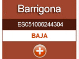 barrigona