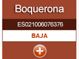 boquerona