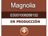 magnolia