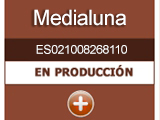 medialuna