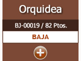 orquidea