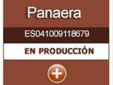 panaera