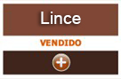 lince