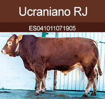 ucraniano