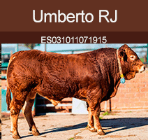 umberto