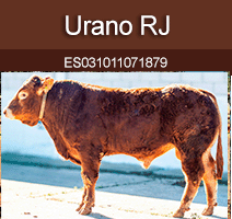 urano