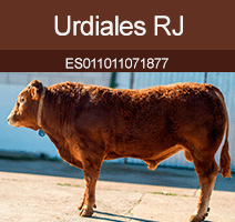 urdiales