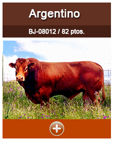 argentino