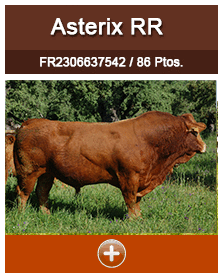 asterix