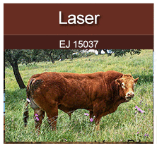laser