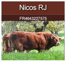 nicos