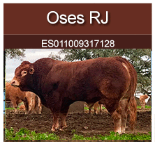 oses