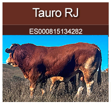 tauro