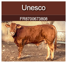 unesco