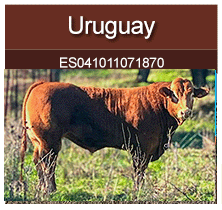 uruguay