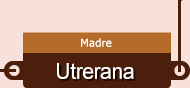 utrerana
