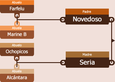 genetica