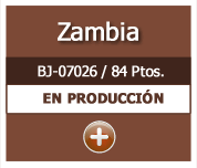 Zambia